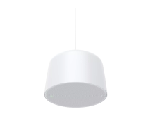Мережевий гучномовець AXIS C1510